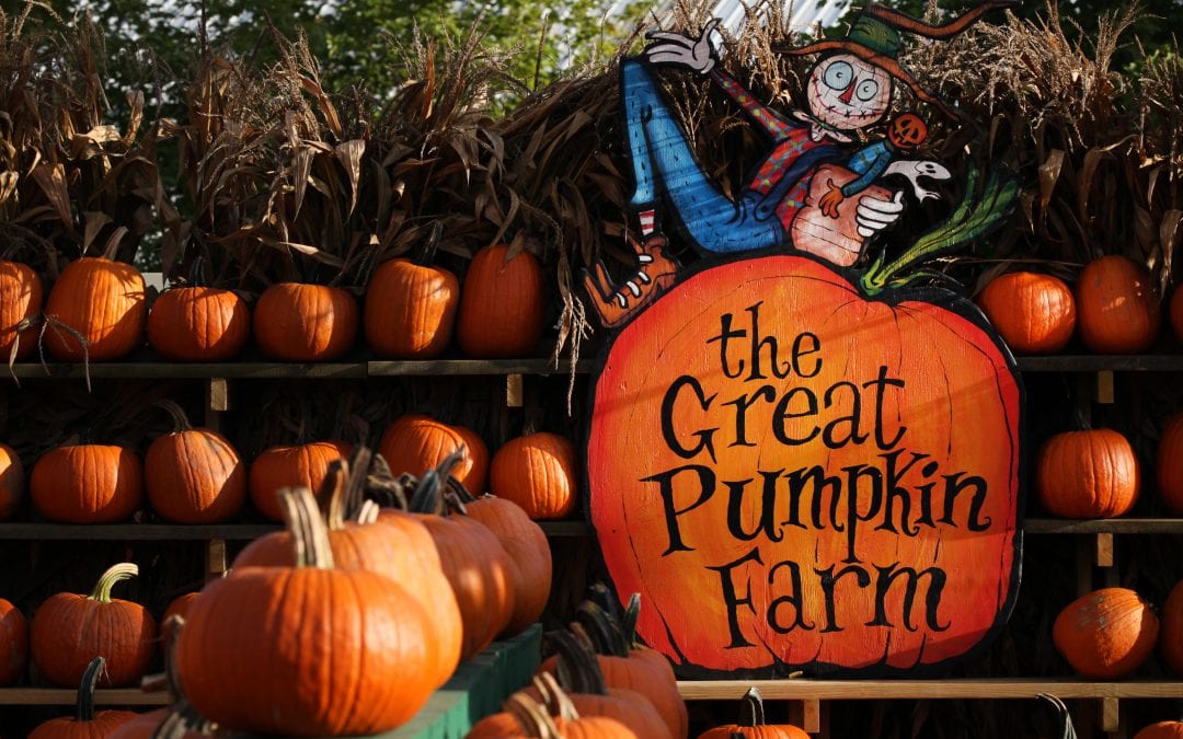 The 24th Annual Fall Festival at the Great Pumpkin Farm in Clarence Kicks off with Armed Forces Weekend