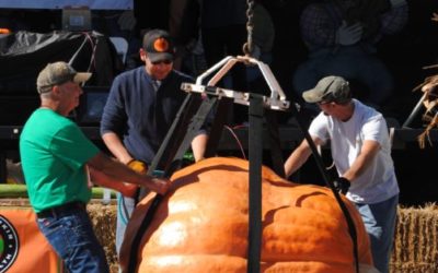 It’s Time to Weigh the Pumpkins at the 24th Annual World Pumpkin Weigh-off at the Great Pumpkin Farm