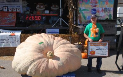 24th annual World Pumpkin Weigh-off Results